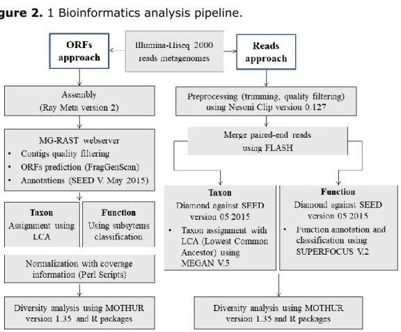 Figure 2. 1 Bioinformatics analysis pipeline. 