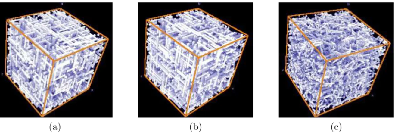Fig. 2.10 – Microstructures 3d construites en implantant des parallélépipèdes dans un cube [81]