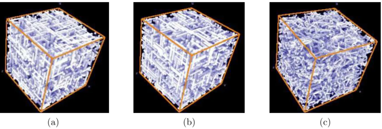 Fig. 2.10 – Microstructures 3d construites en implantant des parallélépipèdes dans un cube [81]