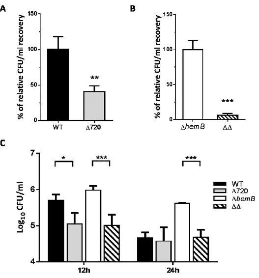 FIG.  2.  Influence  of  S.  aureus  ΔhemB,  Δ720,  and  Δ720ΔhemB  mutations  on  MAC-T  cell 