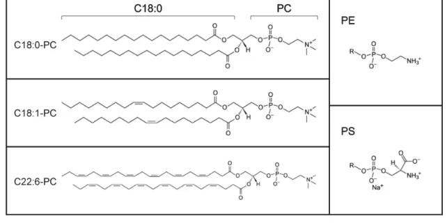 Figure I.7.  Schéma  et  nomenclature des phospholipides.  Les  chaînes acyles 