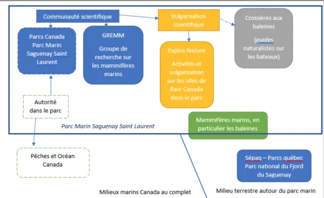 Figure 6 Schéma représentatif des différents acteurs liés au milieu scientifique dans le PMSSL 