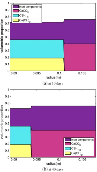 Figure 3. Spatial repartition of molar quantities of the CH, C –S–H and CaCO 3 under CO 2 injection at dif-