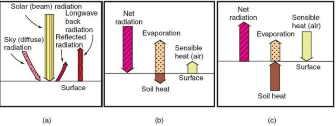 Fig. 1.41. Schematic representation of the components of energy balance model (a) the radiation  balance, (b) the daytime energy balance, and (c) the nighttime energy balance (after Tanner, 1968; 
