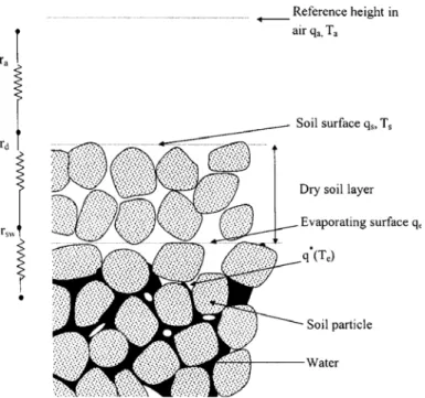 Fig. 1.43. The three stages of water vapor transportation from soil to atmosphere (Aluwihare and  Watanabe, 2003)   