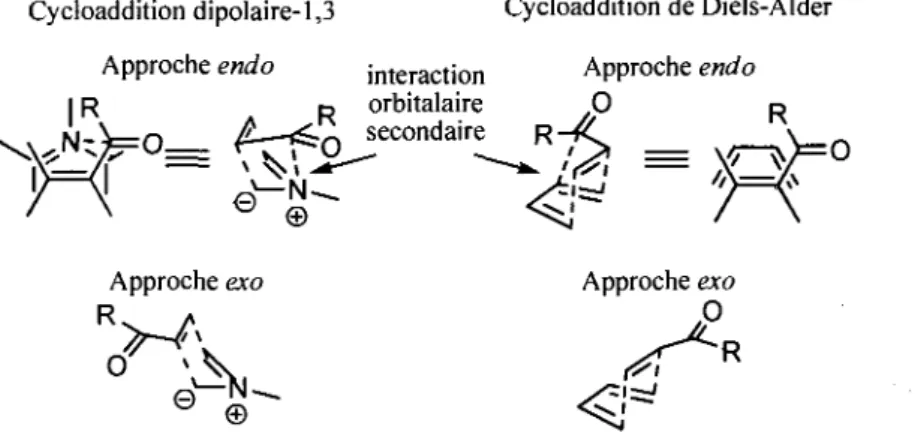 Figure 1.5. Representation des approches endo et exo dans les cycloadditions dipolaires-1,3 et de Diels-
