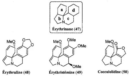 Figure 4. Structures types et exemples d'erythrinanes. 