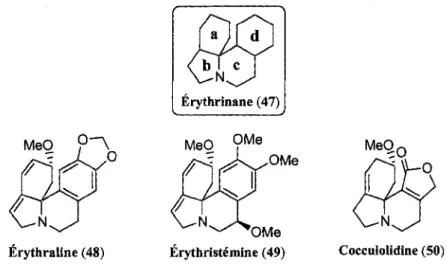 Figure 4. Structures types et exemples d'erythrinanes. 