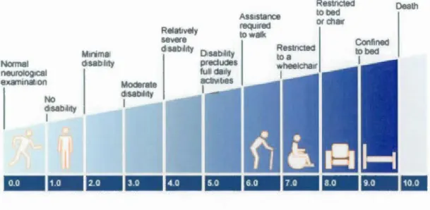 Figure 1.  Expanded Disability Status Scale (EDSS)  (http: // www.ccsvi-tracking.com) 