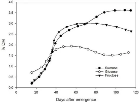 Figure 1- 2 Variations in sucrose, glucose, and fructose in potato foliage as a function of days after emergence 