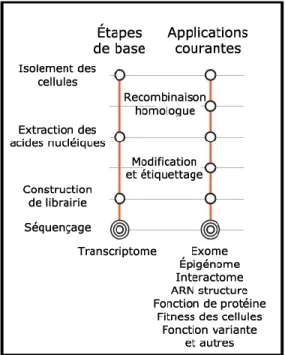 Figure  1.4  Sommaire  des  étapes  pré-séquençage  pour  différentes  applications  du 