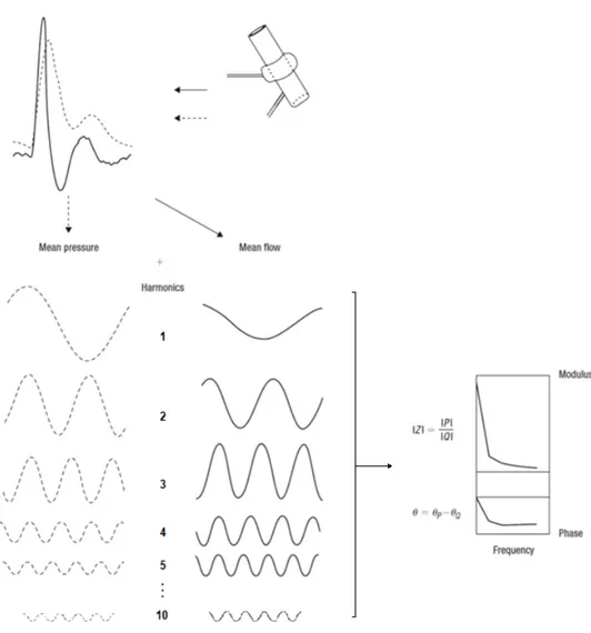 Figure 9 : Détermination du module et de la phase de l’impédance par analyse de Fourier 23 