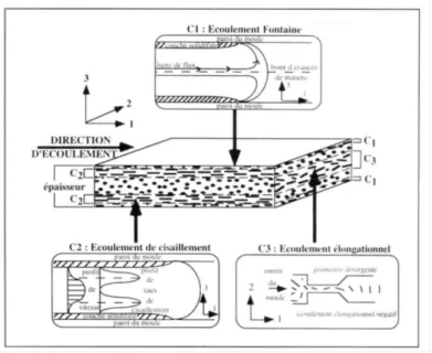 Figure 6. Structure cœur-peau des composites injectés [25]  2.3.2.  Influence des paramètres d’injection sur la microstructure 