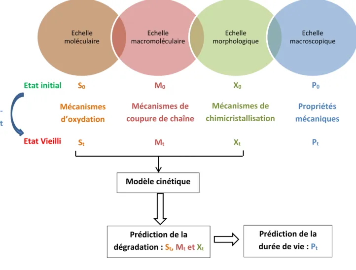Figure 17. Modélisation multi-échelles du vieillissement [92] : S est  la composition  chimique du polymère, M est la masse moléculaire du polymère, X est l’état 