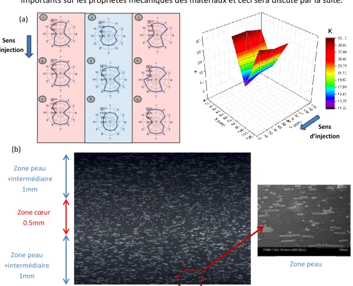 Figure 24. Analyse de la microstructure du RPP-CF180 par (a) mesures ultrasons et (b) par  microscopie 