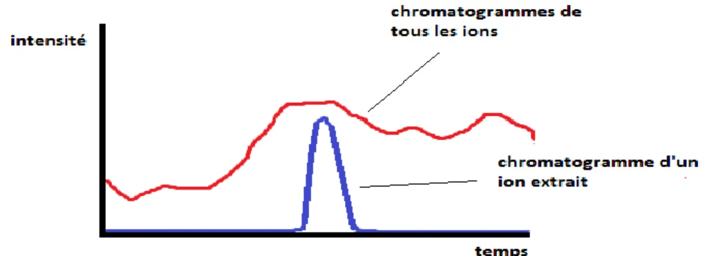Figure 9.Représentation des chromatogrammes de tous les ions et d’un ion extrait. 