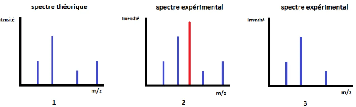 Figure  10.  Schéma  représentant  la  relation  entre  les  spectres  de  masse  expérimentaux  et 