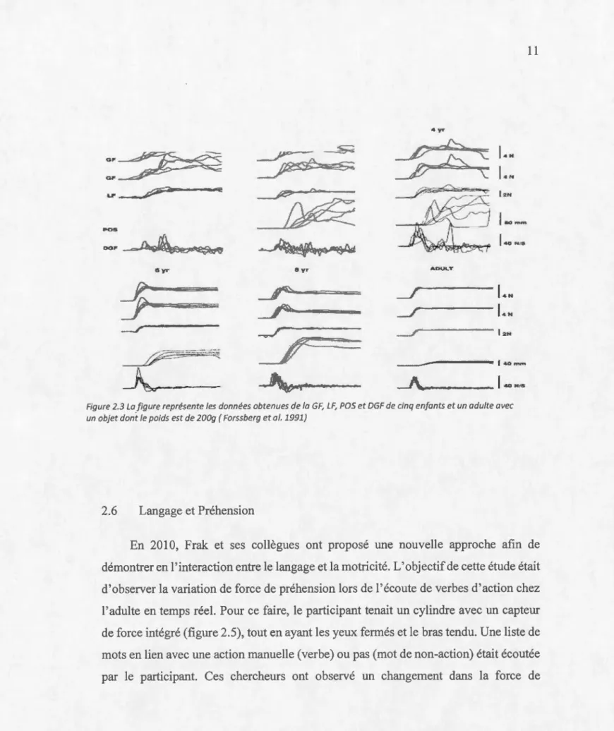 Figure 2.3 La figure représente le s  données obtenues de la  GF,  LF ,  POS  et  DGF de cinq enfants et un  adulte avec  un  objet dont le poids est de 200g ( Forssberg  et  al