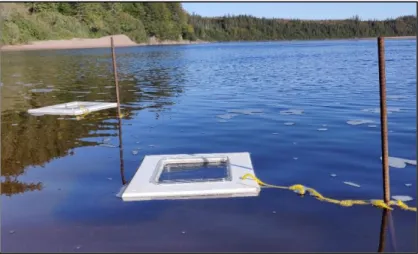 Figure 4 : Photo d’un mini-lysimètre flottant. 