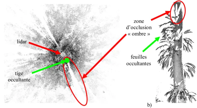 Figure 2 - Effet de l’occlusion sur le scan central d’une placette en forêt tropicale  