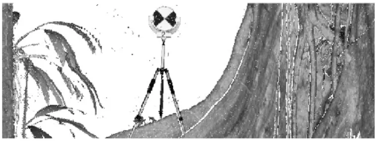 Figure 4 - Exemple de repère de type « cible réticule » placé dans une placette. 
