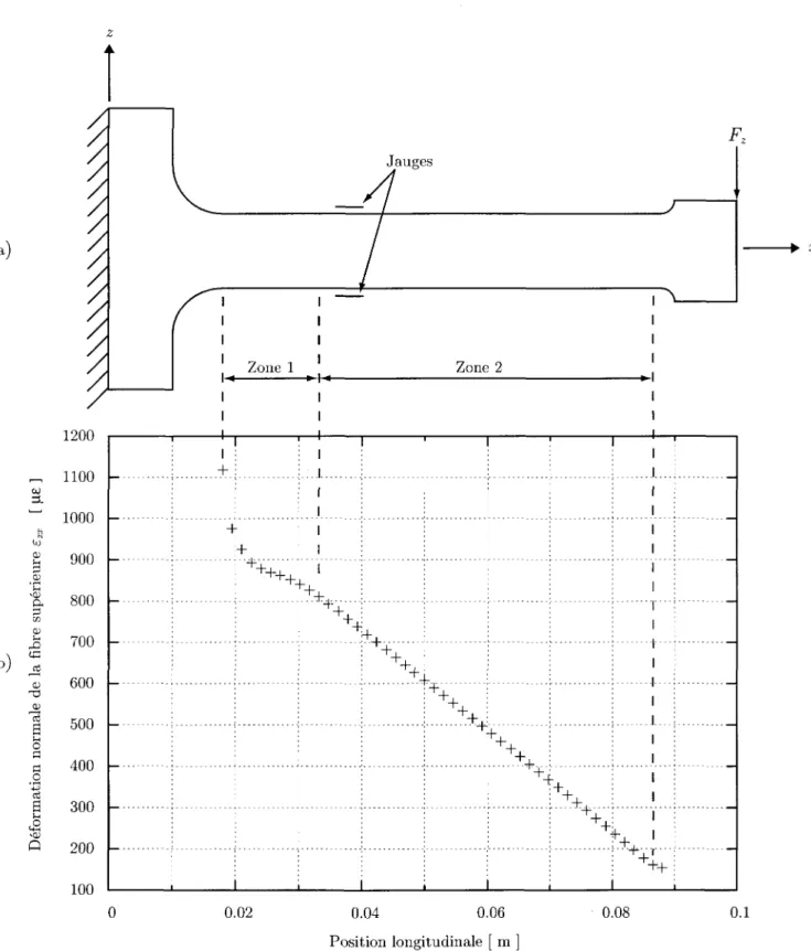 Figure 3.4 - (a) Poutre encastree-libre soumise a une force verticale et (b) champ de  deformation correspondant