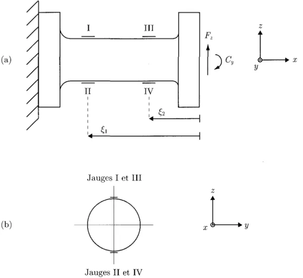 Figure 4.4 - (a) Configuration du pont de jauges pour la mesure de la force verticale F z 
