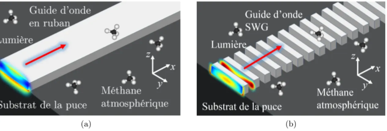 Figure 1.6 – Vue 3D schématique de la propagation de la lumière dans des guides d’onde intégrés sur puce pour la détection du méthane