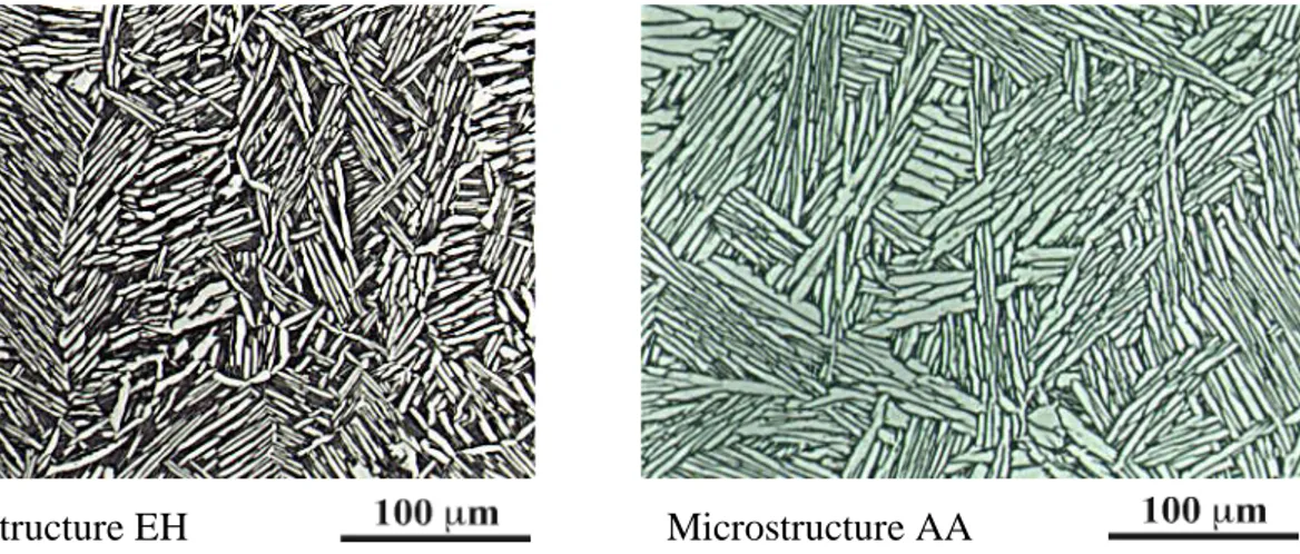 Figure III-2 :  Microstructures du matériau après traitements thermomécaniques complets,  microscope optique