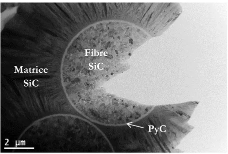 Figure I.1 – Cliché MET de la microstructure d’un composite SiC/SiC