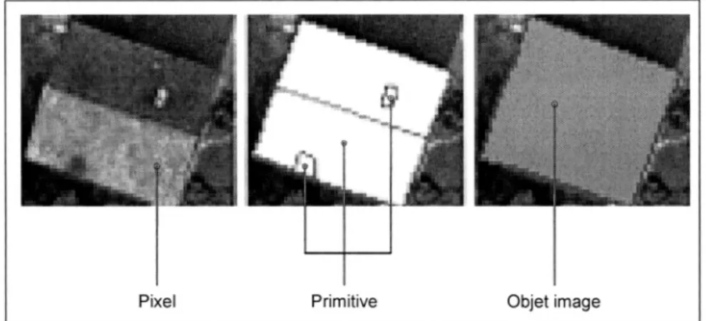 Figure 3.7. Notions de primitive d'objet et d'objet image 