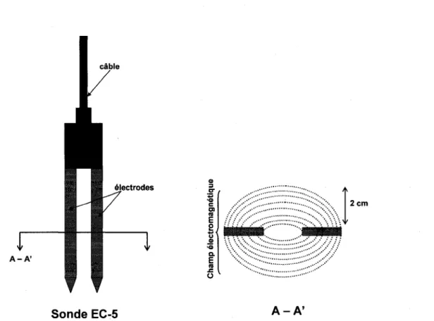 Figure 3.2-1 - Details sur le champ de lecture de la sonde ECH 2 0- EC-5 (adapte de Bissey L
