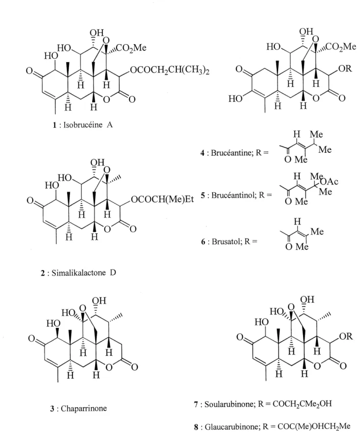 Figure 1 : Exemples de quassinoides.