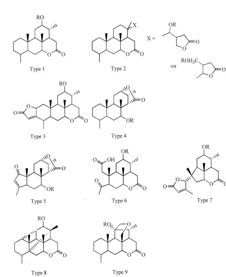 Figure 2 : Types de structures des quassinoides