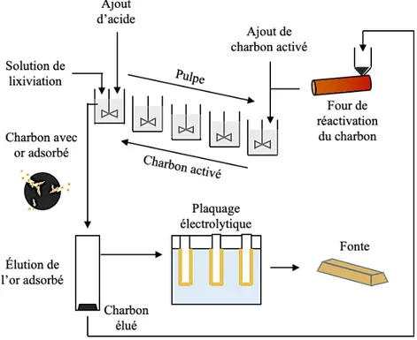 Figure 1.10. Schéma de circuit du procédé de charbon en pulpe.  