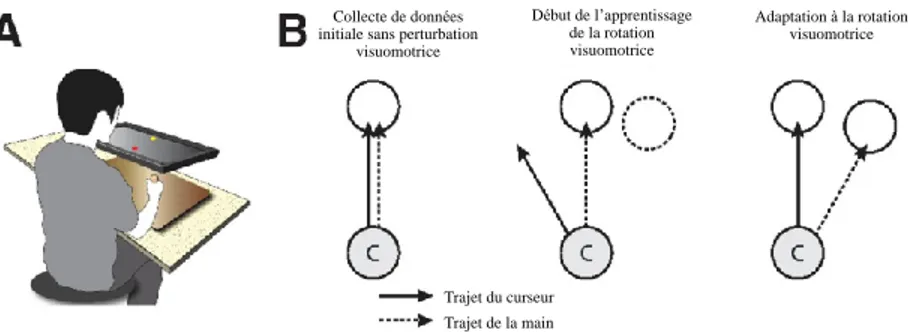 Figure  1:  Tâche  de  rotation  visuomotrice  A,  Appareil  d’évaluation  de  l’adaptation  motrice