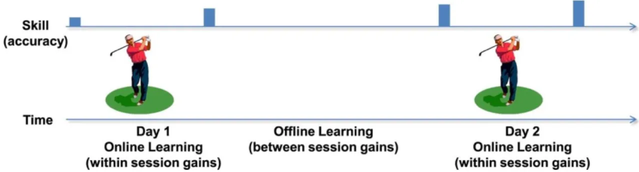Figure 3:Les différentes phases de l’apprentissage moteur (Tiré de (Doyon and Benali, 2005b)) 