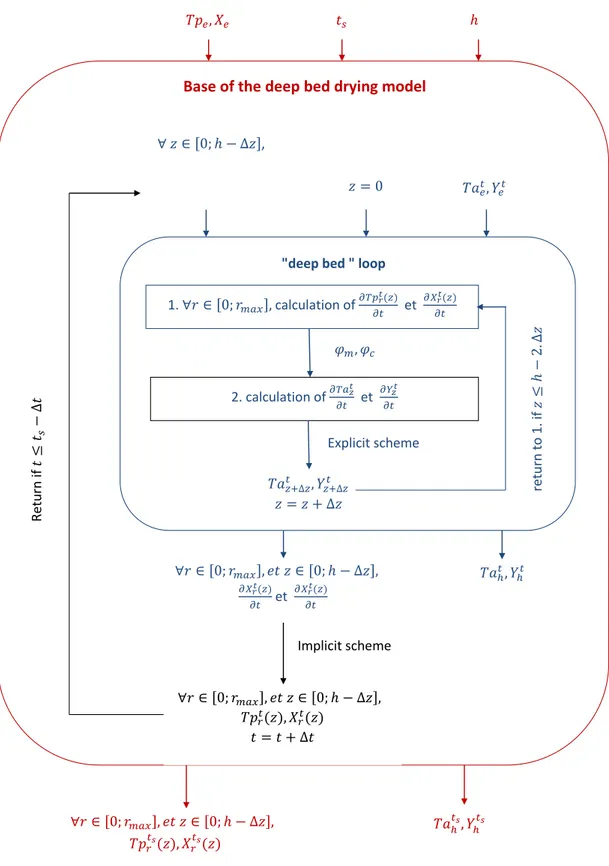 Figure 3.2 – Algorithm description, case of the simulation of deep bed drying