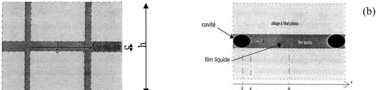 Figure 19 : Schématisation de la zone pâteuse dans le modèle de [Braccini, 2000].  (a) Isolement d’un film liquide entouré d’alliage à l’état pâteux