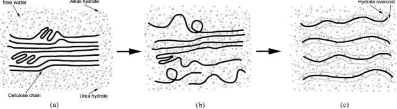 Figure I-3  The  dissolution  process  of  cellulose  in  LiOH/urea  and  NaOH/urea  aqueous 