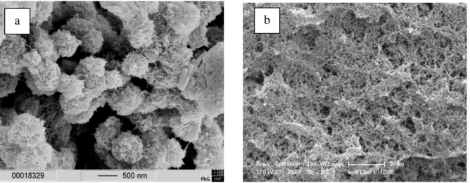 Figure I-8 “ Globular”-like (a) and “Network”-like morphology of cellulose aerogels [Liebner 