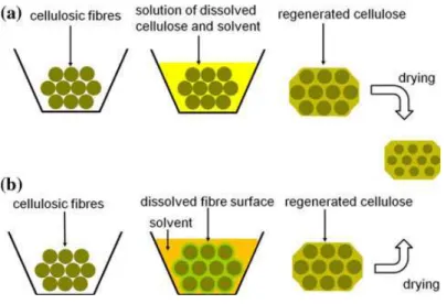 Figure I-9  Two routes for preparing all-cellulose composites. Reprinted with permission from 