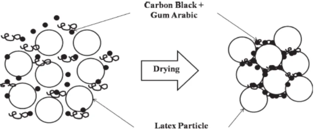 Figure  I-12   Stabilization  of  carbon  black  by  gum  Arabic  among  latex  particles,  and  the 