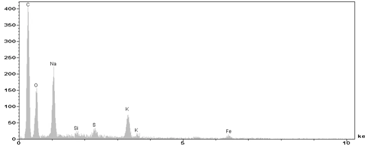 Figure 19  : spectre EDS de la zone sombre de la figure 16 (savon + un peu de revêtement salin) 