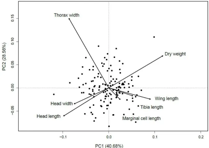 Figure 2. Principal Component Analysis (PCA) plot showing the multivariate variation  among  205  bumble  bee  workers  in  terms  of  their  morphometric  measurements