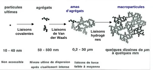 Figure I.3 : Différentes échelles des particules constituant la silice de précipitation selon [BOM 96] 