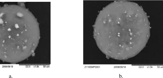 Figure II.1 : Images MEB des microperles de silice industrielle  a. Z1115MP, b. Z1165MP 