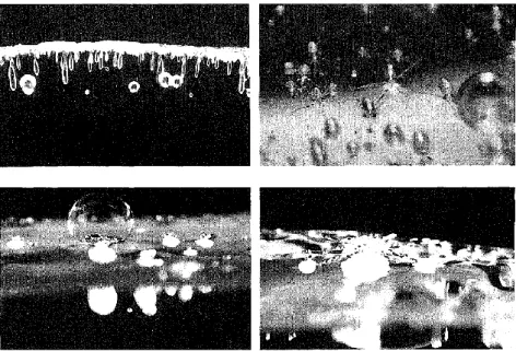 Figure I-13 : Observation des bulles dans le PMMA en situation de combustion (en haut) et  de pyrolyse (en bas) 