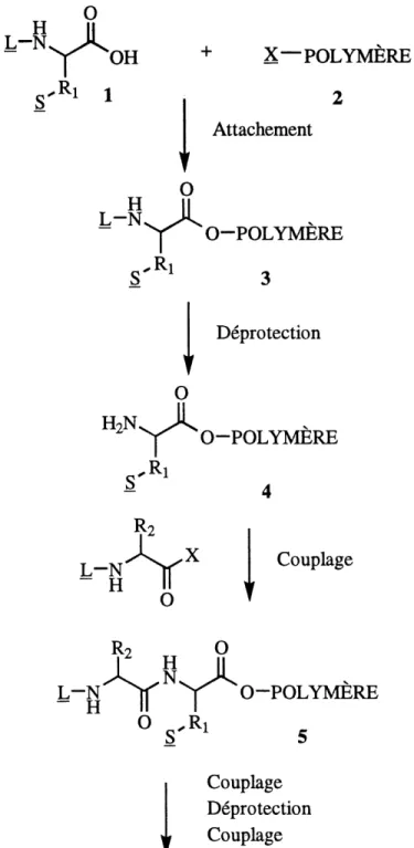 FIGURE 1: Synthese peptidique en phase solide (1).