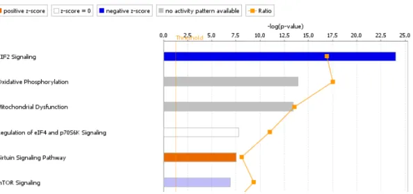 Figure 2.5  Presentation  of  the  six  most  important  canonical  pathways  in  Ingenuity Pathway Analysis from transcriptomic analysis